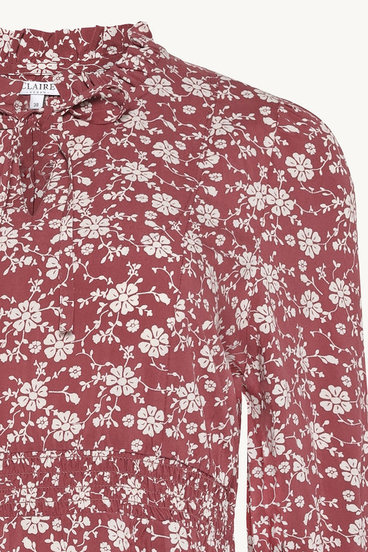 CWDotta - Color 3726