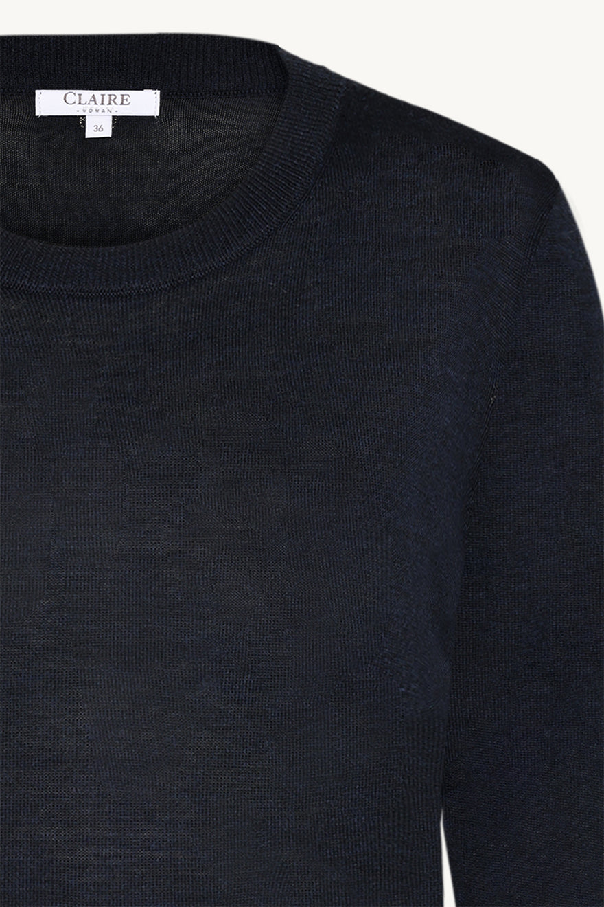 CWPlinia - Color 13151