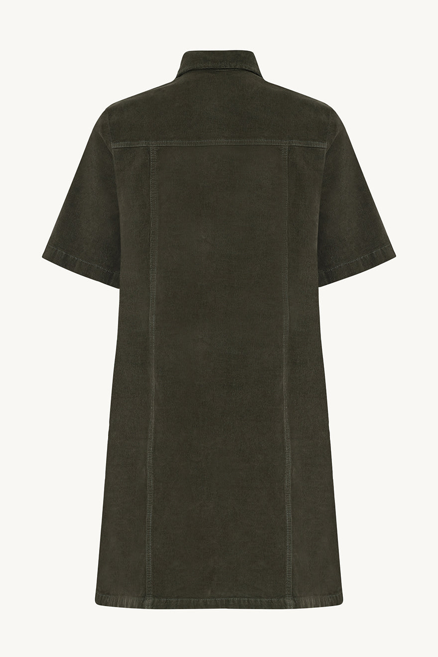 CWDanee - Color 4480